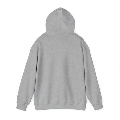Mountain Sunset Heavy Blend™ Hooded Sweatshirt - 6 colors
