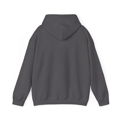 Mountain Sunset Heavy Blend™ Hooded Sweatshirt - 6 colors